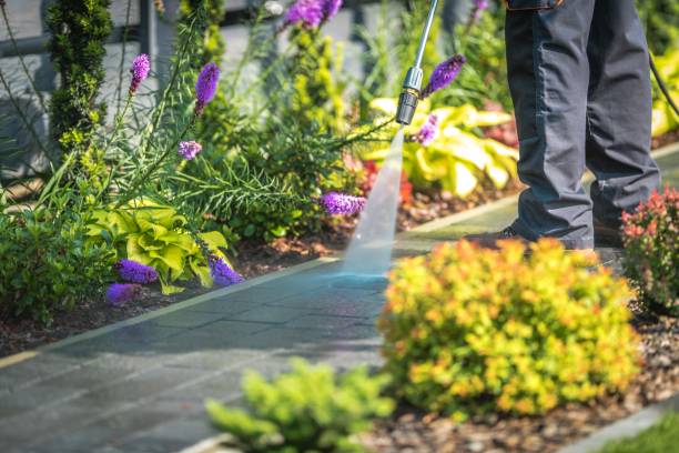 Best Parking Lot Cleaning in Woodfin, NC