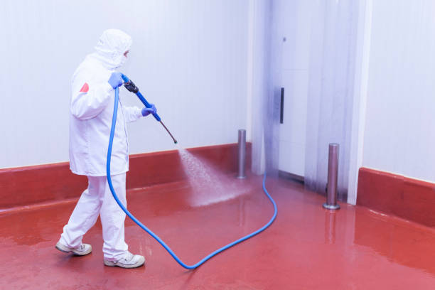 Professional Pressure Washing Services in Woodfin, NC